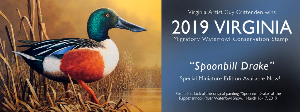 Guy's "Spoonbill Drake" is chosen as 2019 Virginia Migratory Waterfowl Stamp