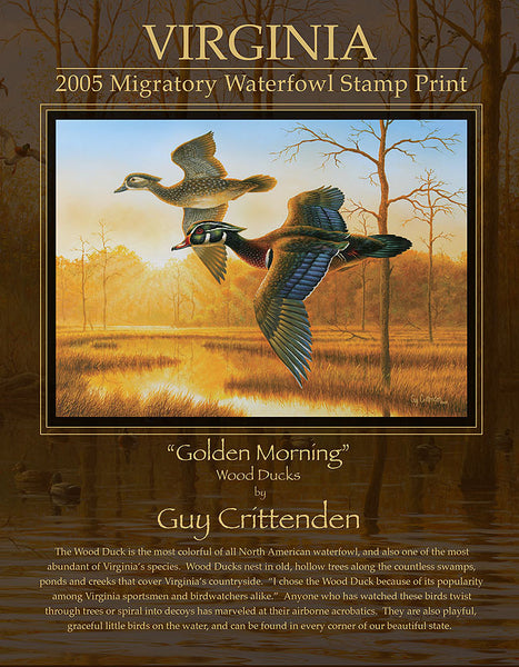 2005-06 Virginia Duck Stamp Print - "Golden Morning"
