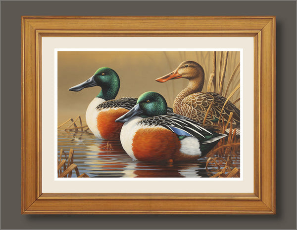 "Spoonbills" - The 2014 Connecticut Duck Stamp Original Oil Painting  -  SOLD