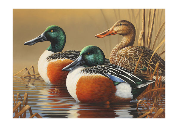 "Spoonbills" - The 2014 Connecticut Duck Stamp Print