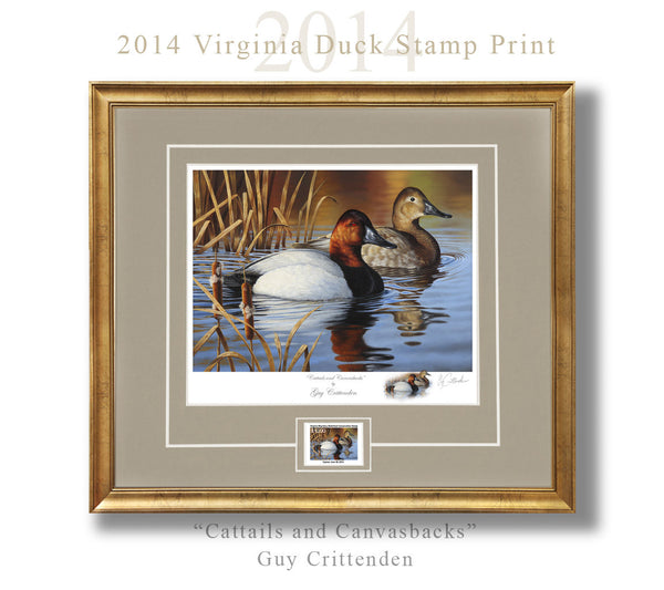 2014-15 Virginia Duck Stamp Print - "Cattails and Canvasbacks"  -  Low Inventory