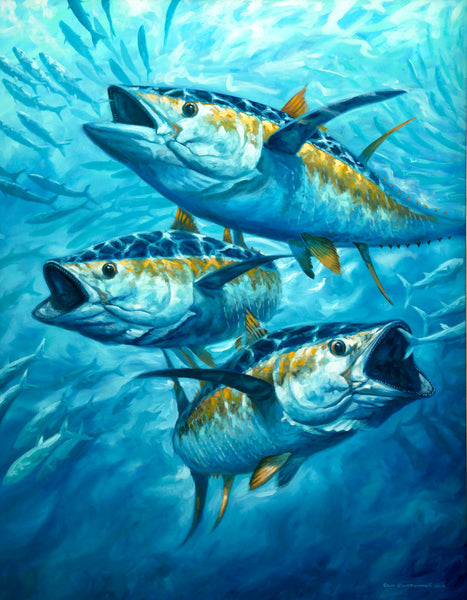 "Frenzy" - Yellowfin Tuna and Mackerel