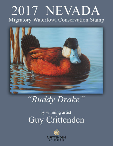 "Ruddy Drake"  -  2017 Nevada Duck Stamp Winner