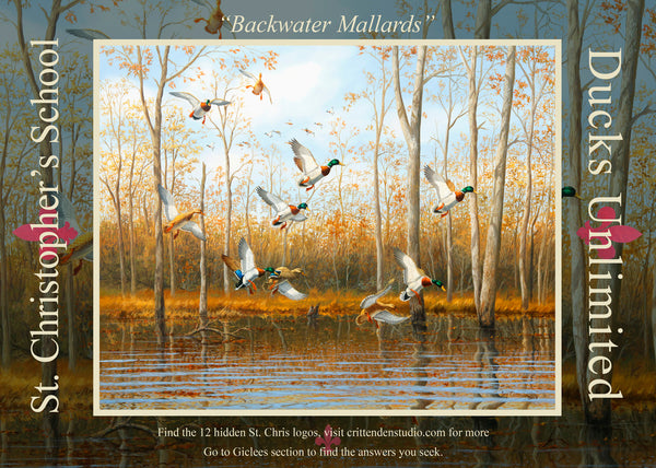 "Backwater Mallards"  -  St. Christopher's Special Edition Print