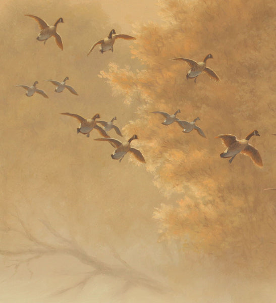 "Morning Rendezvous" - Canada Geese - SOLD