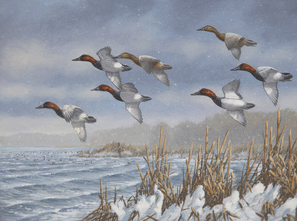 "Cold Front Canvasbacks" - SOLD