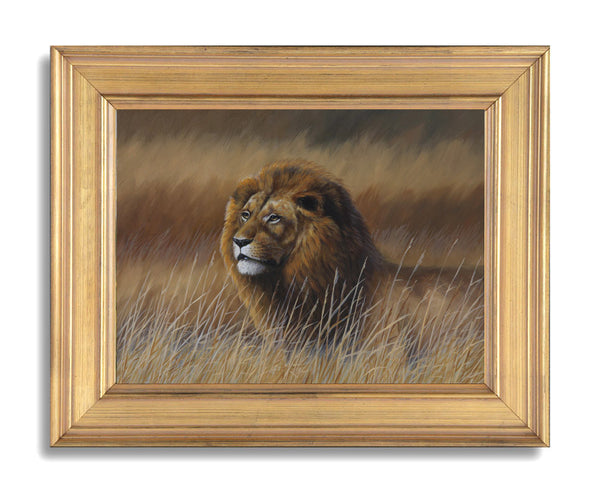 "Watching" - Lion - SOLD