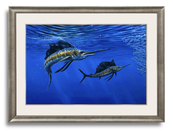 "Deep Blue" -  Pacific Sailfish - Original Painting Sold