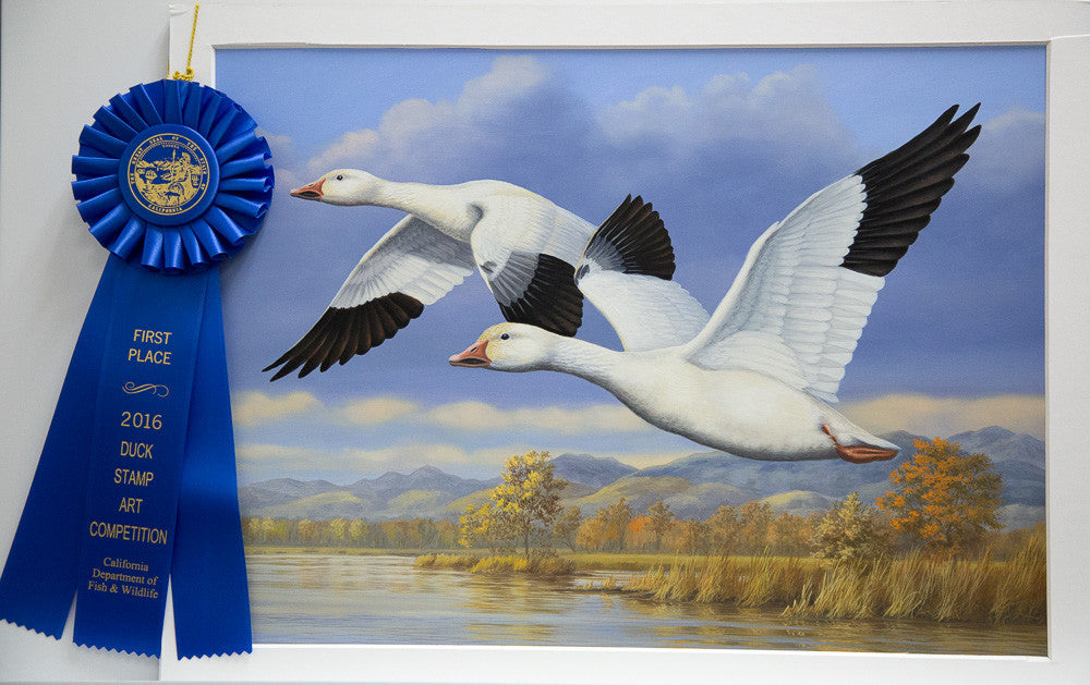 Guy wins 2016-17 California Waterfowl Stamp Competition