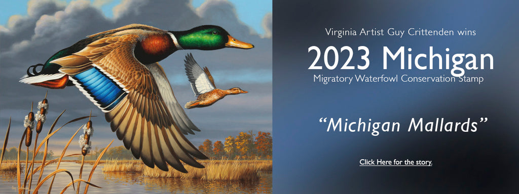 Guy wins 2023 Michigan Waterfowl Stamp competition