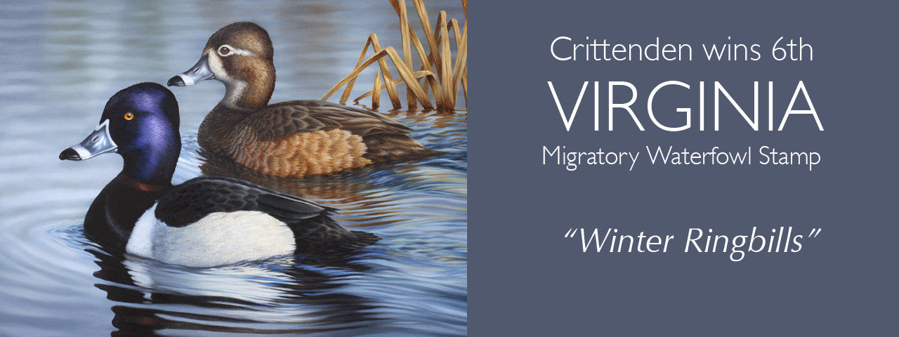 Crittenden wins his 6th Virginia Migratory Waterfowl Stamp Competition