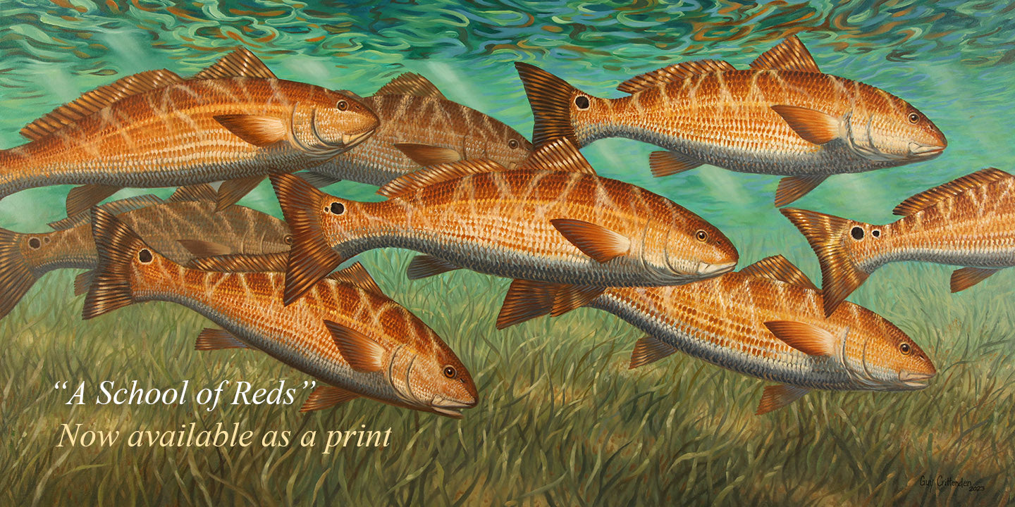 Introducing a new original painting, "A School of Reds"