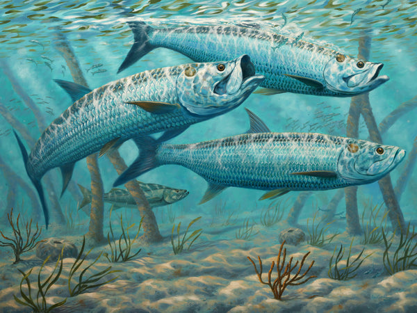 "Monsters of the Mangroves"  -  Tarpon  -  SOLD