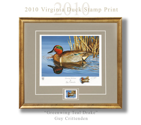 2010-11 Virginia Duck Stamp Print - "Greenwing Teal Drake"