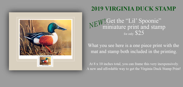 2019 Virginia Waterfowl Conservation Stamp Print  -  The New "Lil' Spoonie" Print is here!