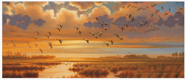 "Waterfowl" -  The Art of Guy Crittenden  •  The Book  •  60 Full Color Paintings