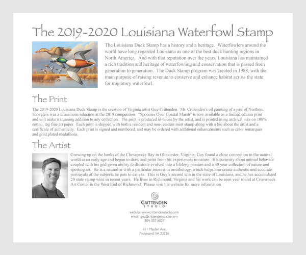 2019 Louisiana Duck Stamp Print