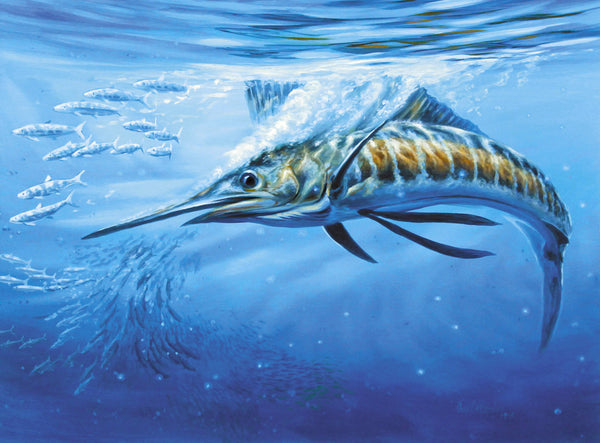 "Blue Bounty"  -  Pacific Sailfish hitting Sardines  -  Original Painting SOLD