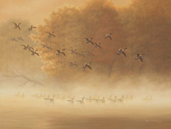 "Morning Rendezvous" - Canada Geese - SOLD