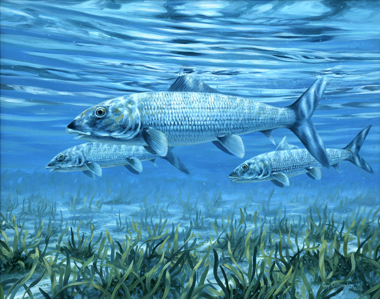 Bonefish Art