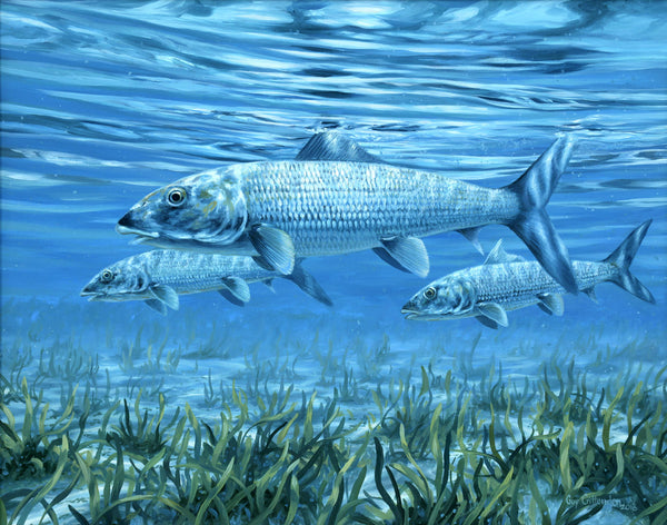 "Ride the Tide"  - Bonefish in the Shallows - Original Painting SOLD