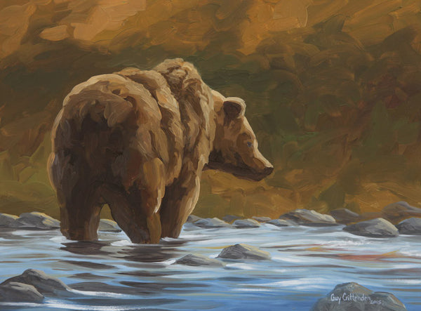 "Salmon Run"  -  North American Grizzly Bear - SOLD