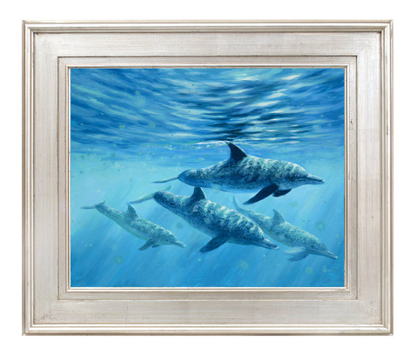 "Atlantic Spotted Dolphin" -   SOLD