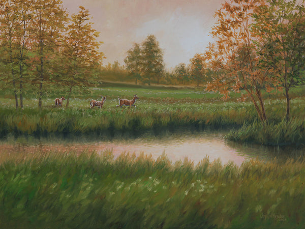"Summer Meadow"  -  Whitetail Family  -  SOLD