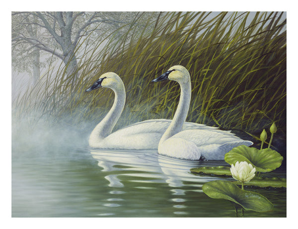 "Trumpeters in the Mist"