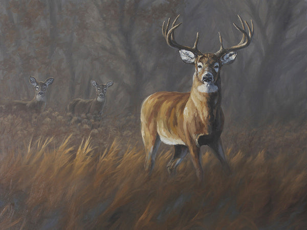 "The Guardian" - Whitetails  - SOLD
