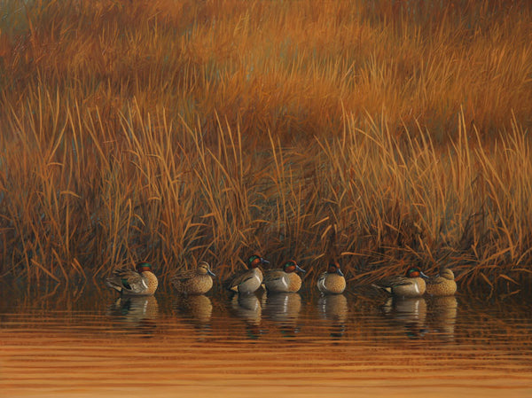 "The Good Spot" - Greenwing Teal -  SOLD