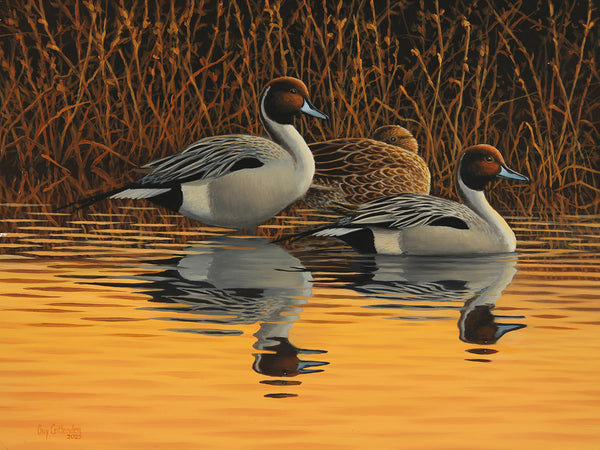 "Three Pintails" - SOLD