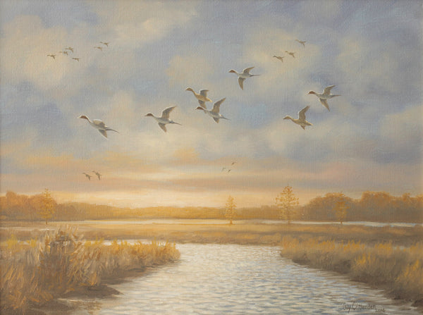 "Wright's Island Pintails" - SOLD